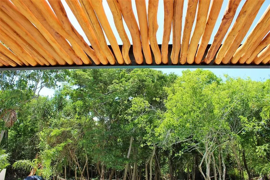 ¡Increible! Villa Luz De Luna Akumal