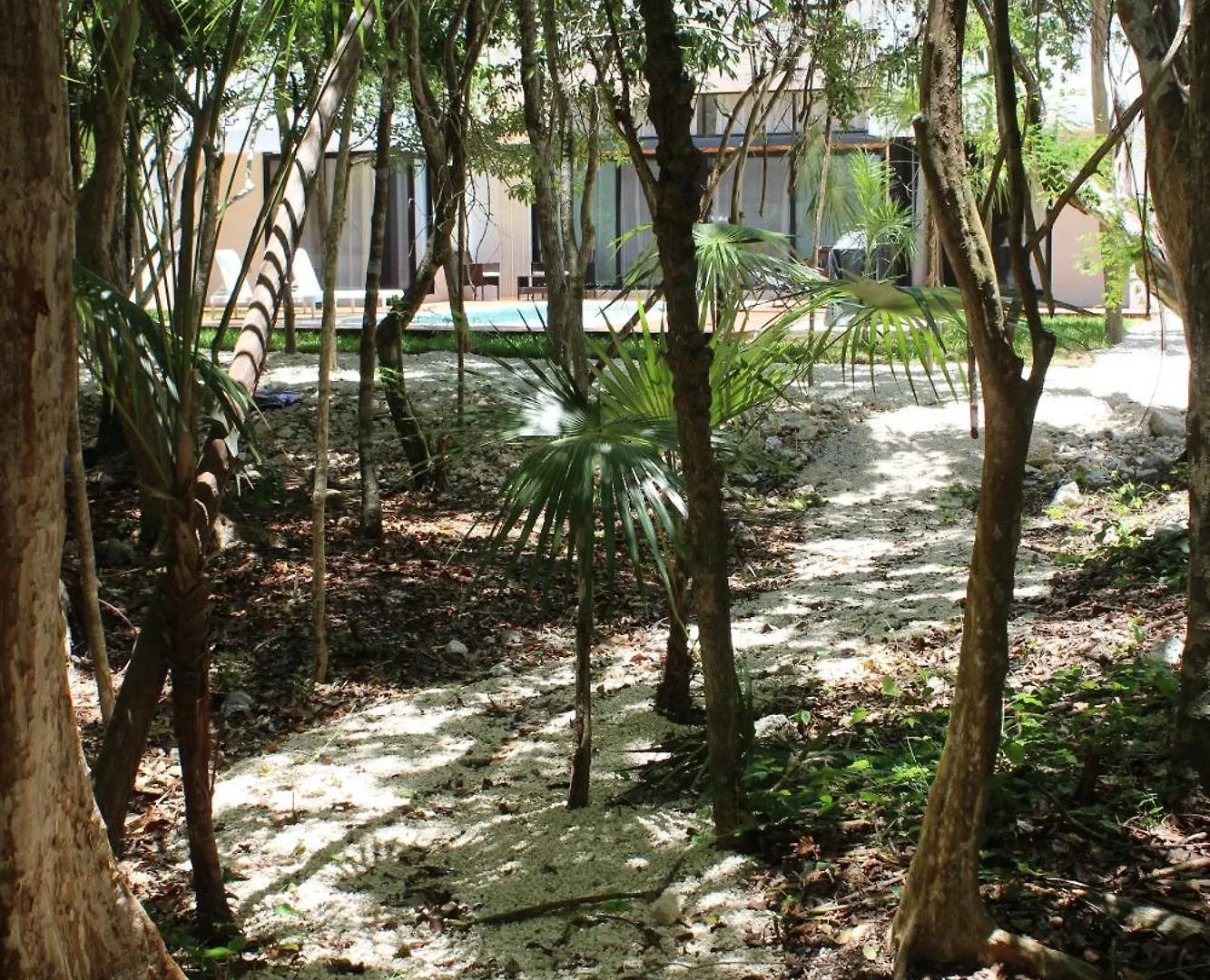¡Increible! Villa Luz De Luna Akumal