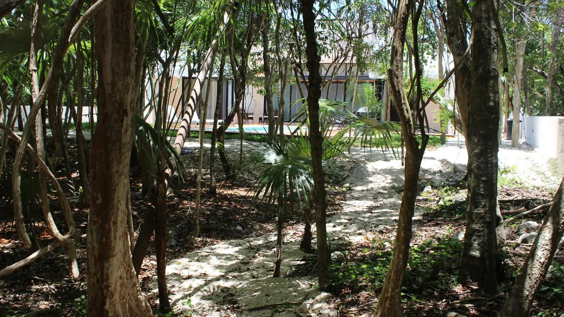 ¡Increible! Villa Luz De Luna Akumal