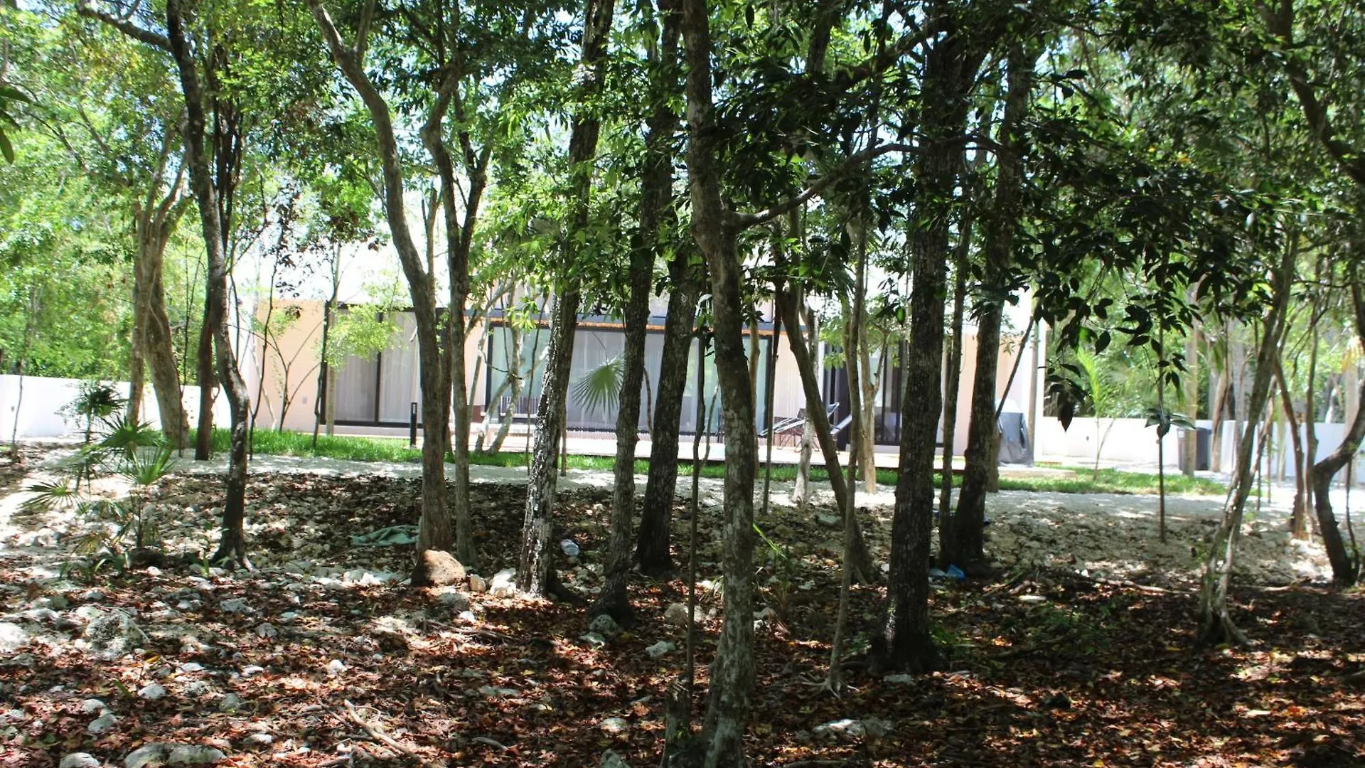 ¡Increible! Villa Luz De Luna Akumal