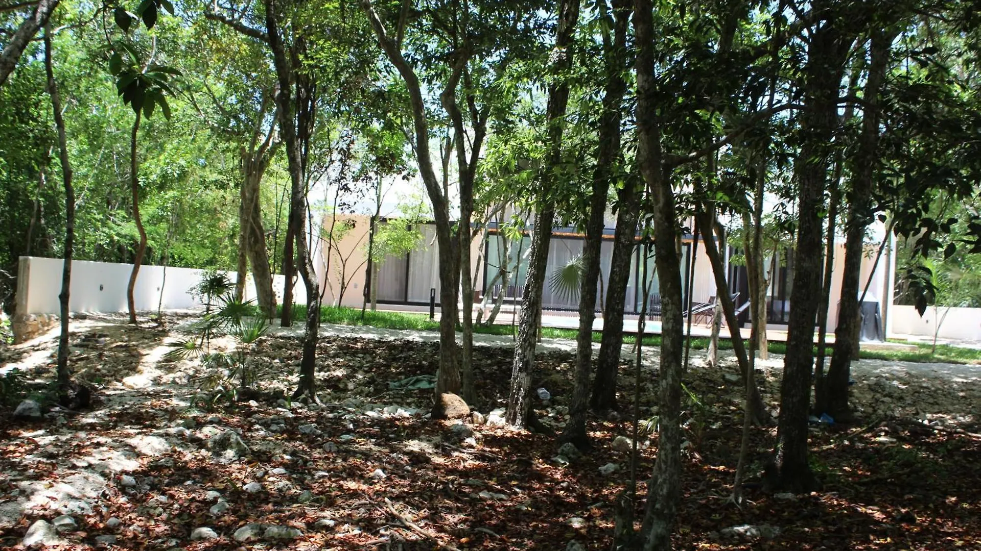 ¡Increible! Villa Luz De Luna Akumal